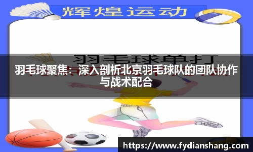羽毛球聚焦：深入剖析北京羽毛球队的团队协作与战术配合