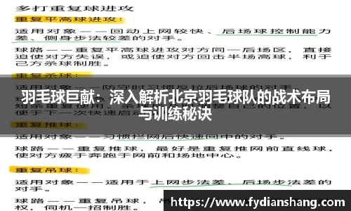 羽毛球巨献：深入解析北京羽毛球队的战术布局与训练秘诀