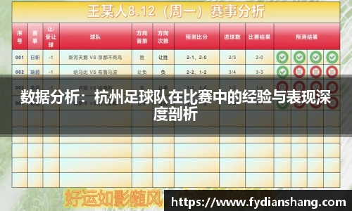 数据分析：杭州足球队在比赛中的经验与表现深度剖析