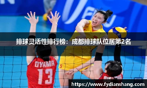 排球灵活性排行榜：成都排球队位居第2名