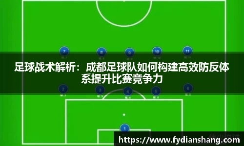 足球战术解析：成都足球队如何构建高效防反体系提升比赛竞争力