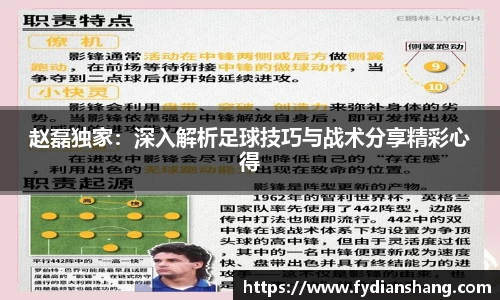赵磊独家：深入解析足球技巧与战术分享精彩心得