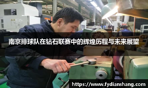 南京排球队在钻石联赛中的辉煌历程与未来展望
