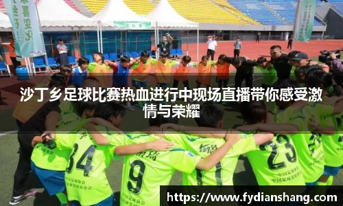沙丁乡足球比赛热血进行中现场直播带你感受激情与荣耀